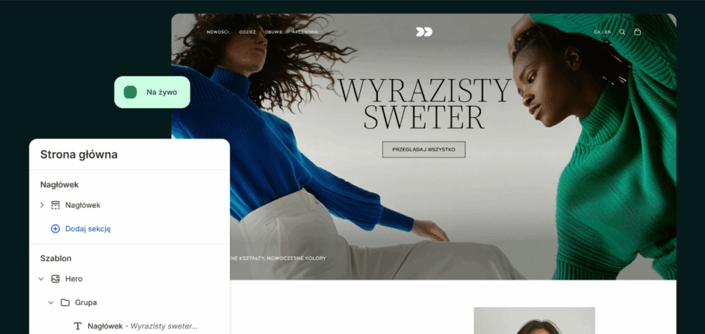 shopify1